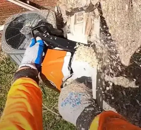 isa-arborist-pruning-bonsai-tree