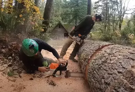 tree-removal-service-cutting-logs